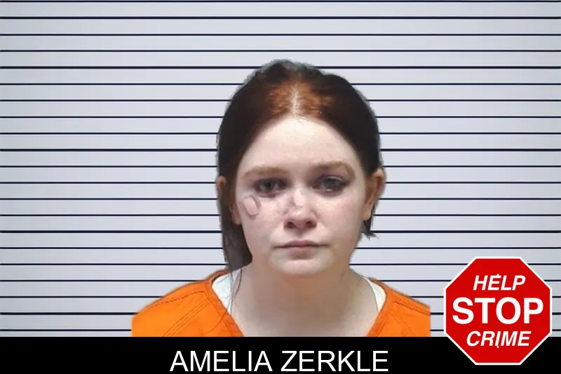 Amelia Zerkle mugshot – Cherokee County , Georgia Amelia Zerkle mugshot
