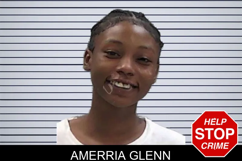 Amerria Glenn mugshot – Baldwin County , Georgia Amerria Glenn mugshot
