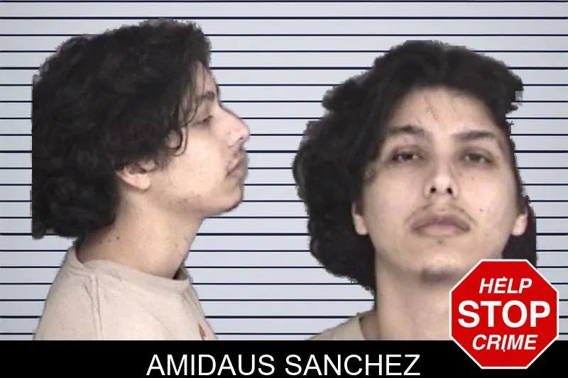 Amidaus Sanchez mugshot – Barrow County , Georgia Amidaus Sanchez mugshot