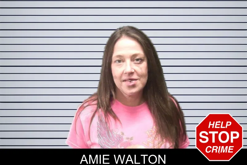 Amie Walton mugshot – Cherokee County , Georgia Amie Walton mugshot