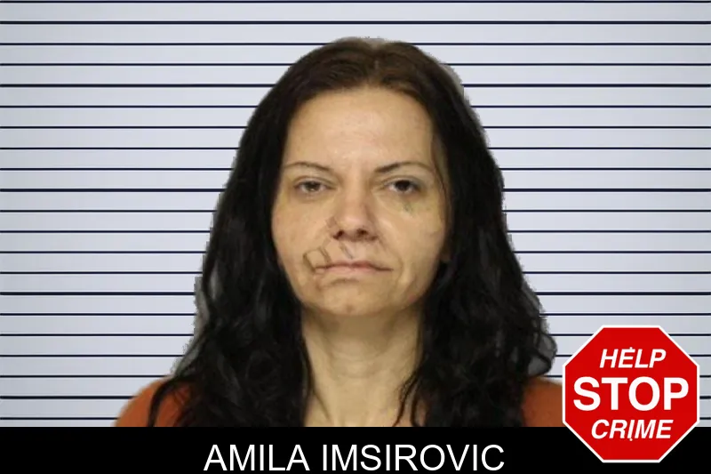Amila Imsirovic mugshot