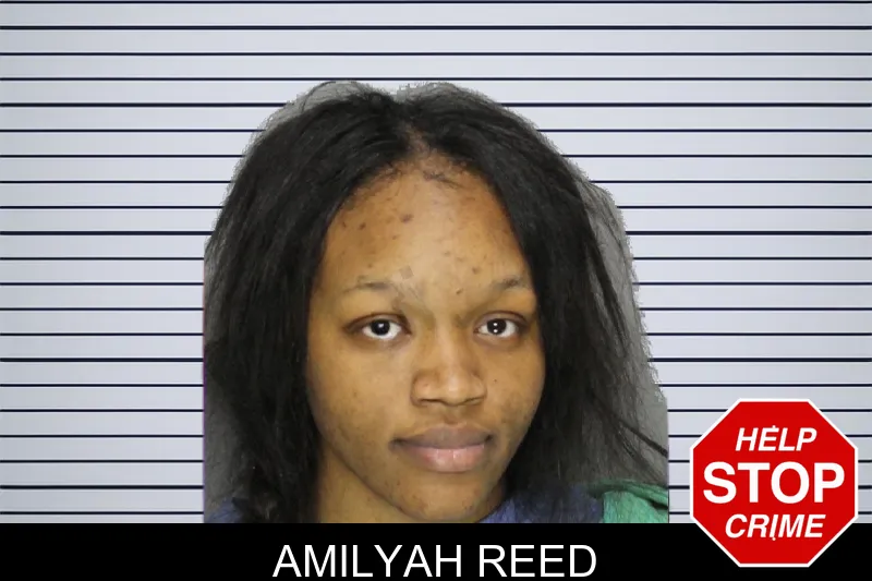 Amilyah Reed mugshot – Cobb County , Georgia Amilyah Reed mugshot
