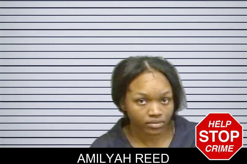 Amilyah Reed mugshot