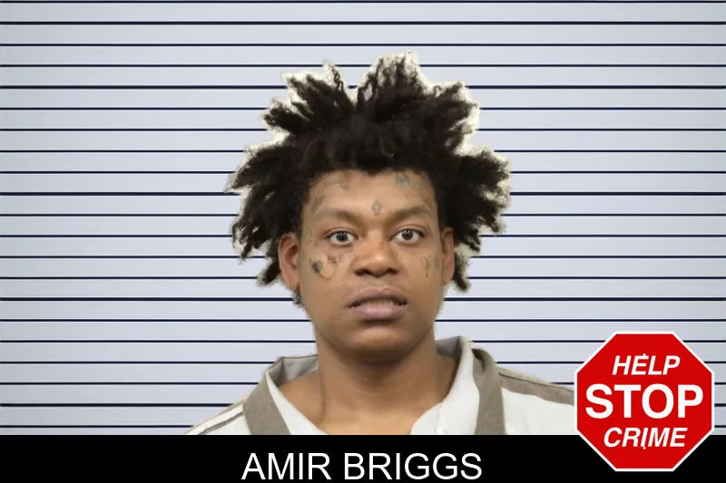 Amir Briggs mugshot – Bulloch County , Georgia Amir Briggs mugshot