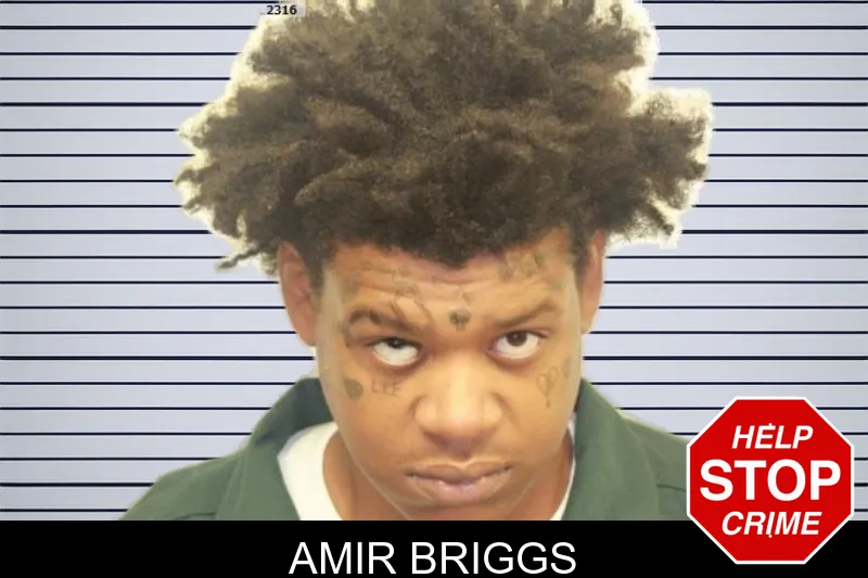 Amir Briggs mugshot