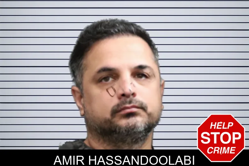 Amir Hassandoolabi mugshot – Forsyth County , Georgia Amir Hassandoolabi mugshot
