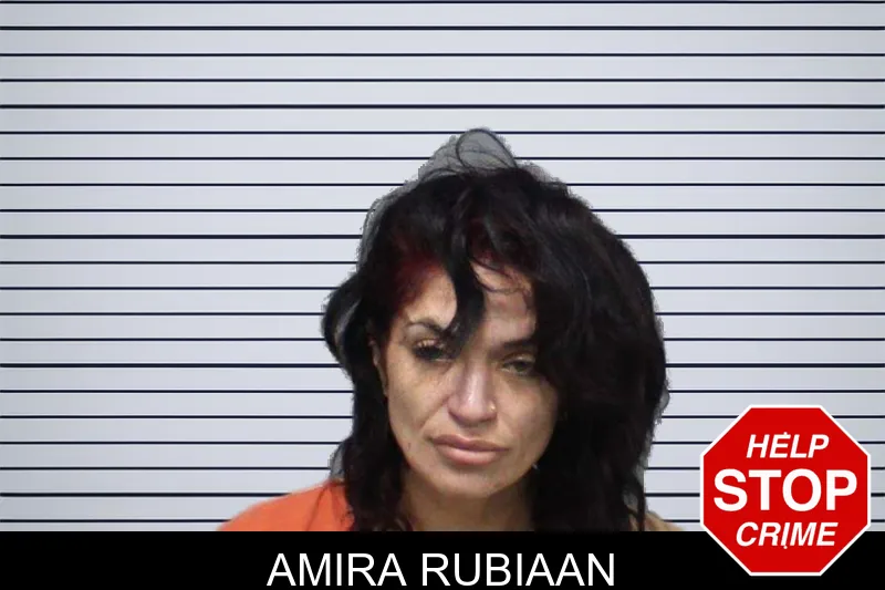 Amira Rubiaan mugshot – White County , Georgia Amira Rubiaan mugshot