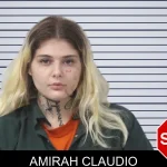 Amirah Claudio mugshot – Mcintosh County , Georgia Amirah Claudio mugshot