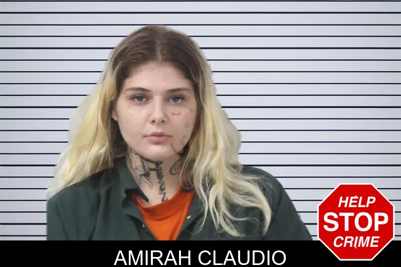 Amirah Claudio mugshot – Mcintosh County , Georgia Amirah Claudio mugshot