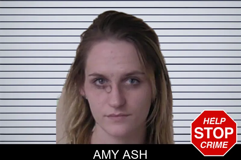 Amy Ash mugshot – Walker County , Georgia Amy Ash mugshot