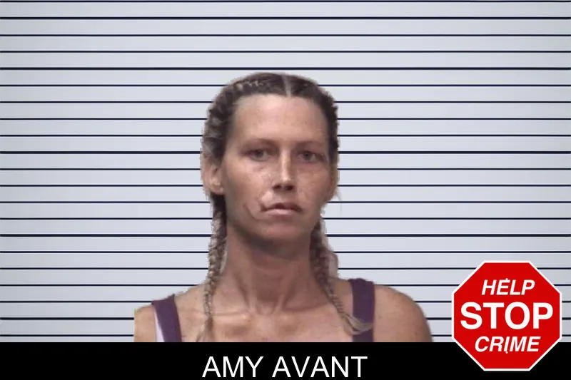 Amy Avant mugshot