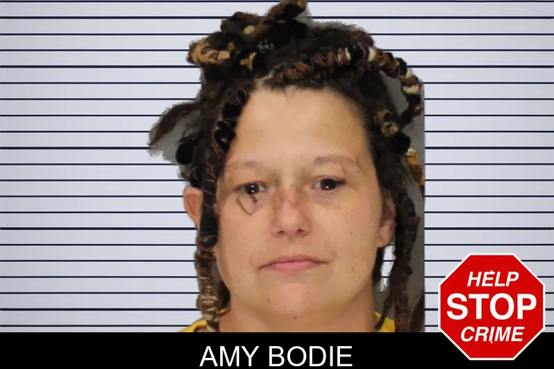 Amy Bodie mugshot