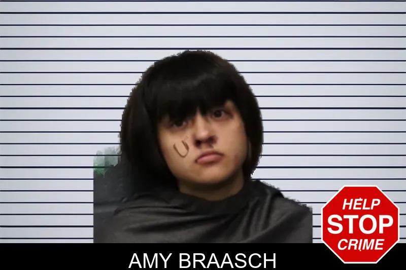 Amy Braasch mugshot – Forsyth County , Georgia Amy Braasch mugshot