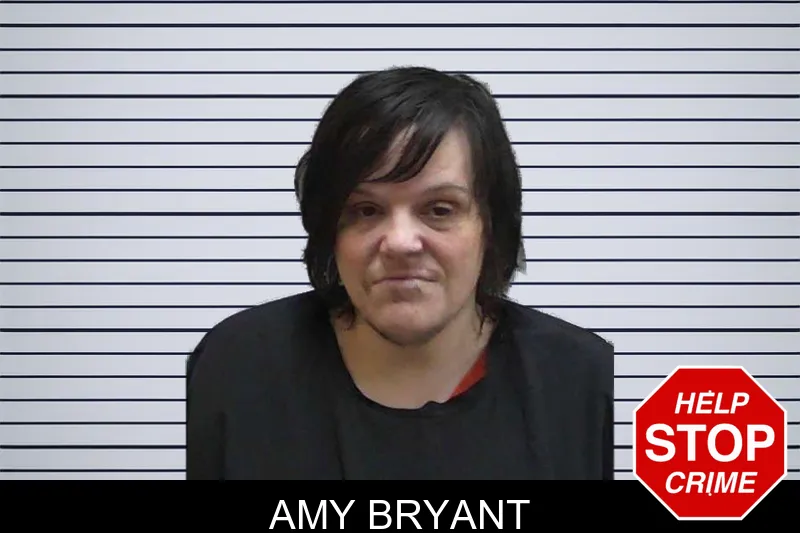 Amy Bryant mugshot – Madison County , Georgia Amy Bryant mugshot