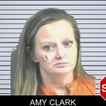 Amy Clark mugshot – Mitchell County , Georgia Amy Clark mugshot