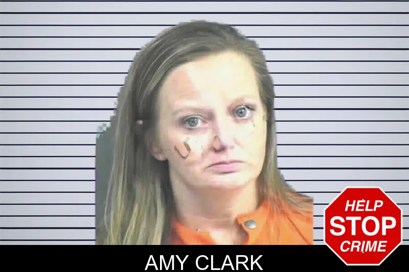 Amy Clark mugshot