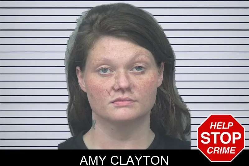 Amy Clayton mugshot – Gwinnett County , Georgia Amy Clayton mugshot