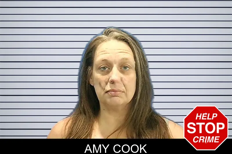 Amy Cook mugshot – Troup County , Georgia Amy Cook mugshot