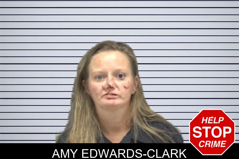Amy Edwards-Clark mugshot