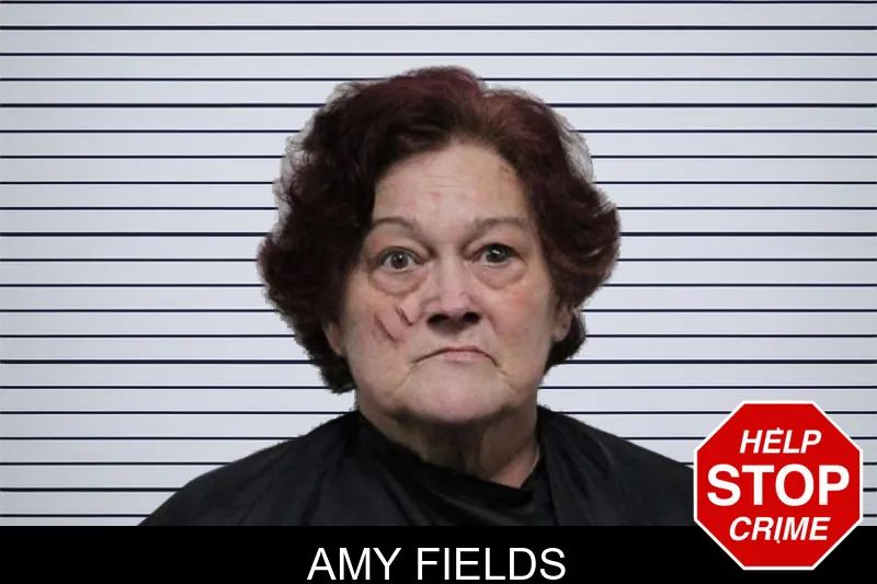 Amy Fields mugshot