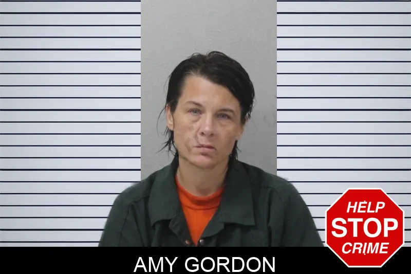 Amy Gordon mugshot – Mcintosh County , Georgia Amy Gordon mugshot