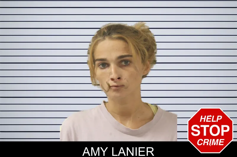 Amy Lanier mugshot – Toombs County , Georgia Amy Lanier mugshot