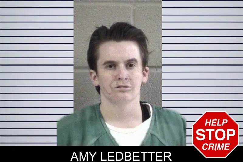 Amy Ledbetter mugshot – Whitfield County , Georgia Amy Ledbetter mugshot