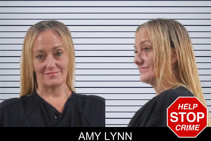 Amy Lynn mugshot – Houston County , Georgia Amy Lynn mugshot