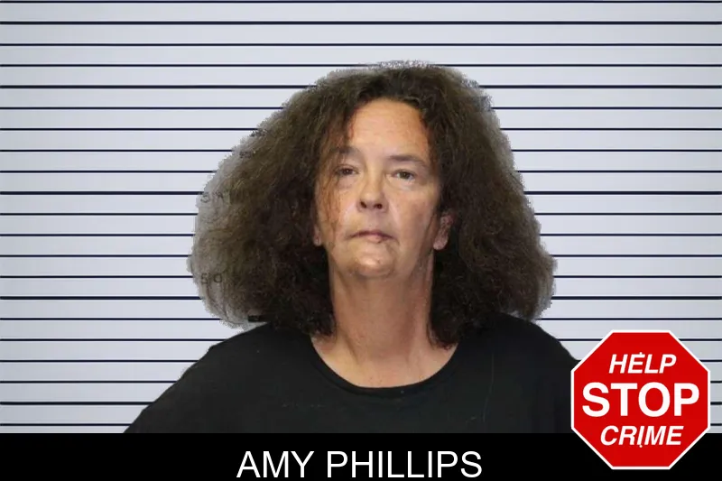 Amy Phillips mugshot – Thomas County , Georgia Amy Phillips mugshot