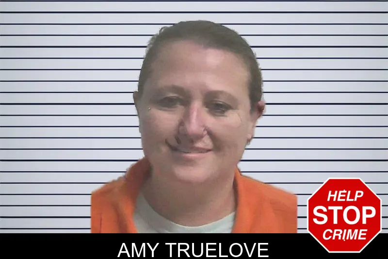 Amy Truelove mugshot – Colquitt County , Georgia Amy Truelove mugshot