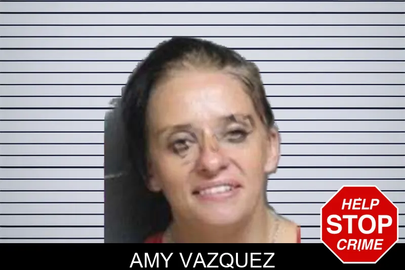 Amy Vazquez mugshot – Bacon County , Georgia Amy Vazquez mugshot