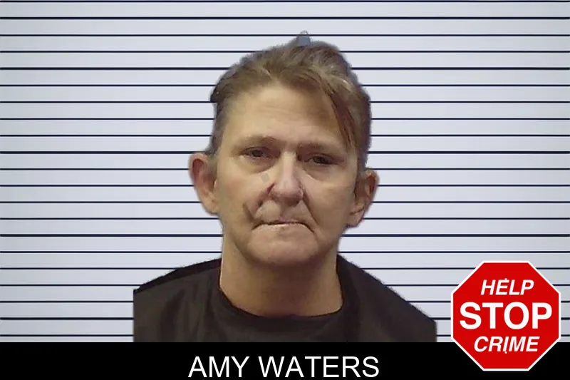 Amy Waters mugshot – Chattooga County , Georgia Amy Waters mugshot