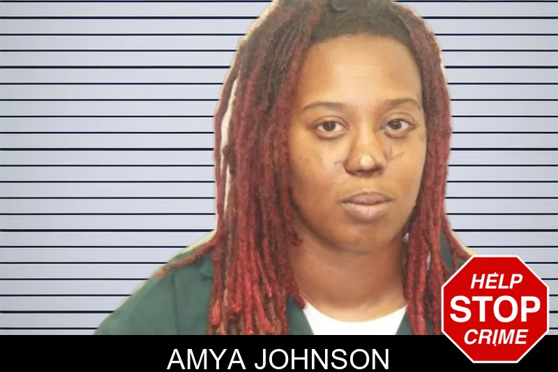 Amya Johnson mugshot – Chatham County , Georgia Amya Johnson mugshot