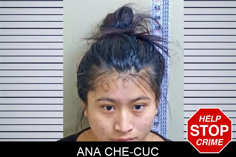 Ana Che-Cuc mugshot