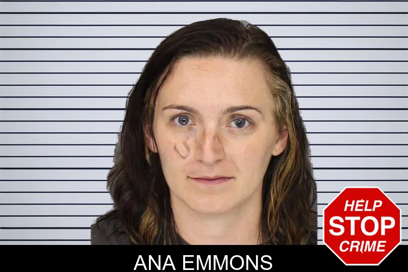 Ana Emmons mugshot – Cobb County , Georgia Ana Emmons mugshot