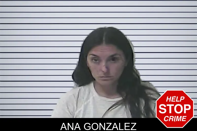 Ana Gonzalez mugshot