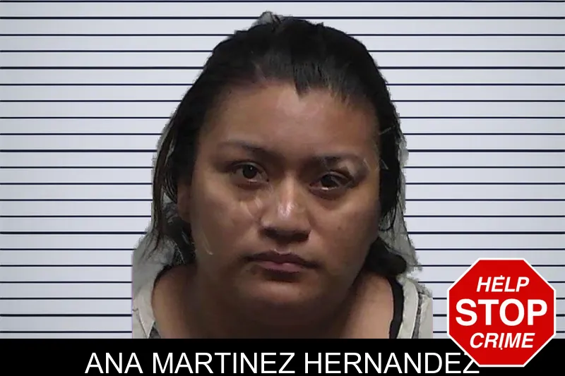 Ana Martinez Hernandez mugshot – Tift County , Georgia Ana Martinez Hernandez mugshot