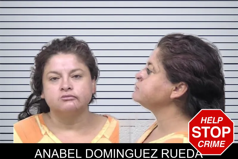 Anabel Dominguez Rueda mugshot – Paulding County , Georgia Anabel Dominguez Rueda mugshot