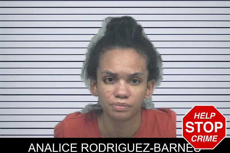 Analice Rodriguez-Barnes mugshot – Gwinnett County , Georgia Analice Rodriguez-Barnes mugshot