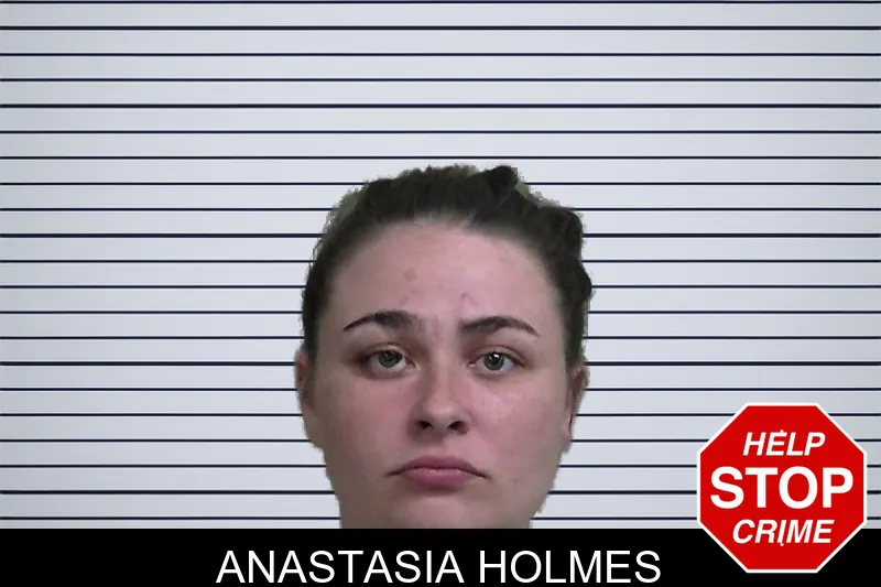 Anastasia Holmes mugshot – Wayne County , Georgia Anastasia Holmes mugshot