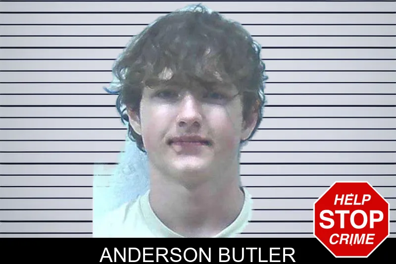 Anderson Butler mugshot – Jackson County , Georgia Anderson Butler mugshot