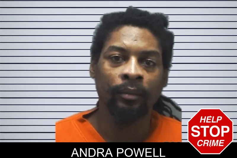Andra Powell mugshot – Cherokee County , Georgia Andra Powell mugshot