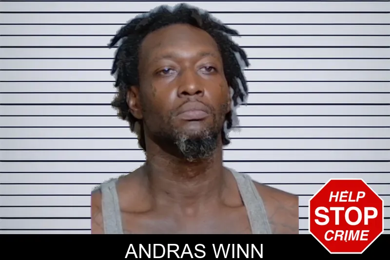 Andras Winn mugshot – Glynn County , Georgia Andras Winn mugshot