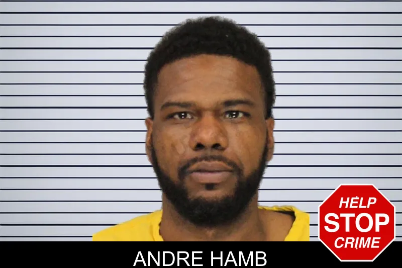 Andre Hamb mugshot – Cobb County , Georgia Andre Hamb mugshot