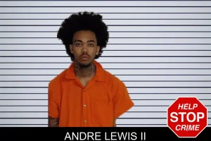 Andre Lewis II mugshot