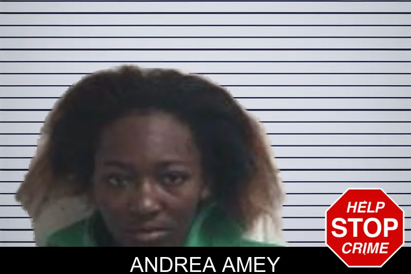 Andrea Amey mugshot