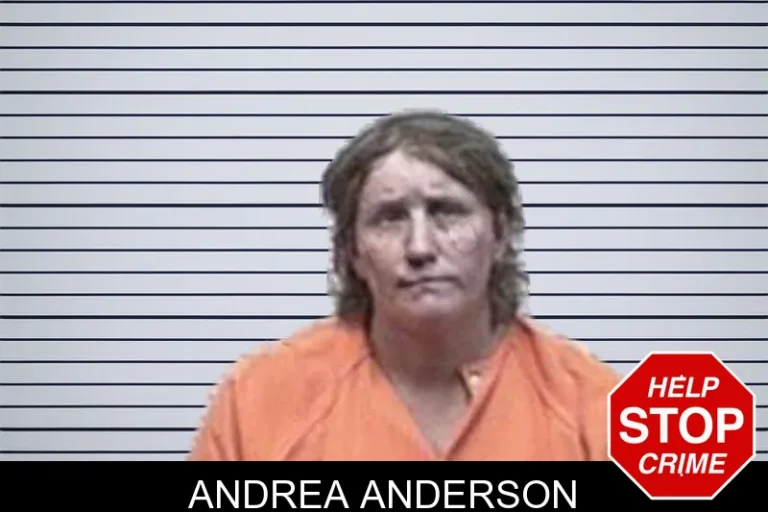 Andrea Anderson mugshot – Tattnall County , Georgia Andrea Anderson