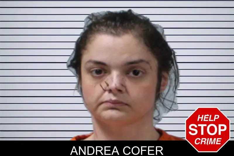 Andrea Cofer mugshot – Seminole County , Georgia Andrea Cofer mugshot