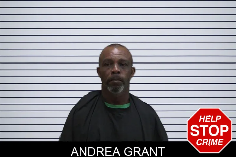 Andrea Grant mugshot – Madison County , Georgia Andrea Grant mugshot