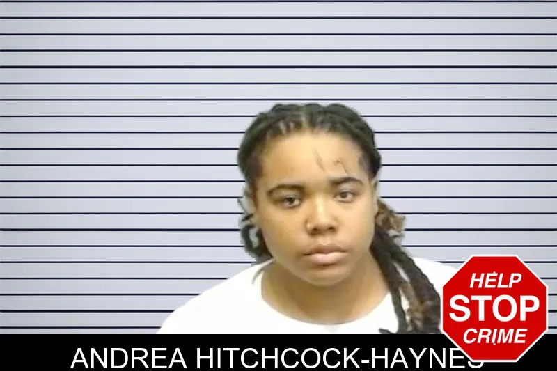 Andrea Hitchcock-Haynes mugshot – Fulton County , Georgia Andrea Hitchcock-Haynes mugshot